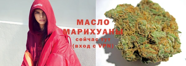 дмт Новозыбков