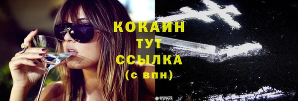 дмт Новозыбков