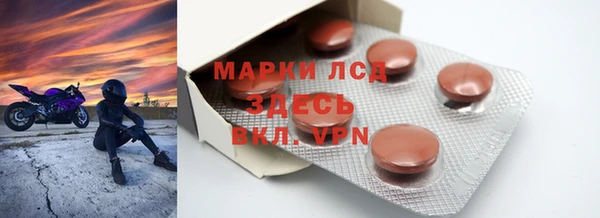 ешки Новодвинск
