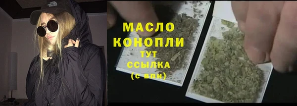 ешки Новодвинск