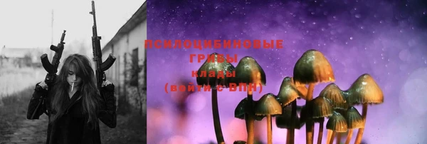ешки Новодвинск