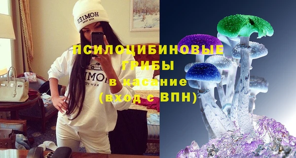 дмт Новозыбков