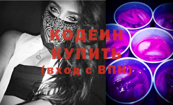 крисы Няндома