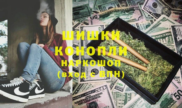 крисы Няндома