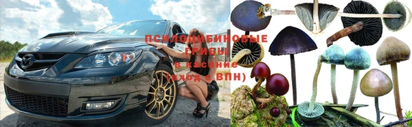 дживик Нея