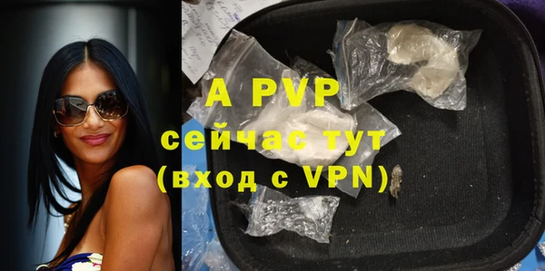 ешки Новодвинск