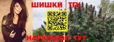 стаф Волгодонск