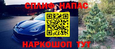 стаф Волгодонск