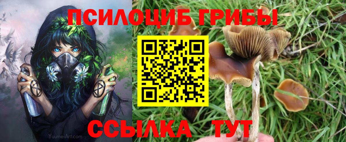 Курганинск  Галлюциногенные грибы Magic Shrooms  Вход с VPN 